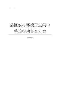 县区农村环境卫生集中整治行动督查方案农村环境卫生问题