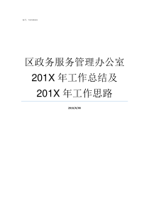 区政务服务管理办公室201X年工作总结及201X年工作思路