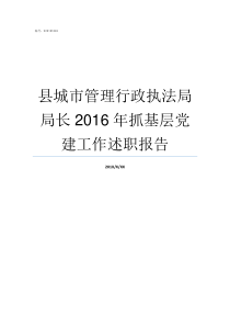 县城市管理行政执法局局长2016年抓基层党建工作述职报告