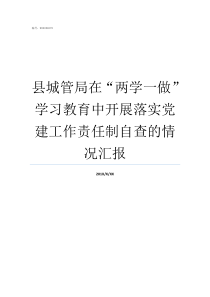 县城管局在两学一做学习教育中开展落实党建工作责任制自查的情况汇报