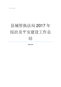 县城管执法局2017年综治及平安建设工作总结