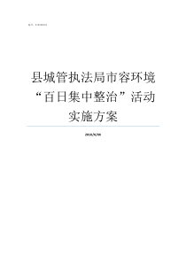 县城管执法局市容环境百日集中整治活动实施方案太湖县城管执法局