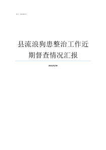 县流浪狗患整治工作近期督查情况汇报整治流浪狗