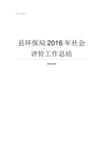 县环保局2016年社会评价工作总结