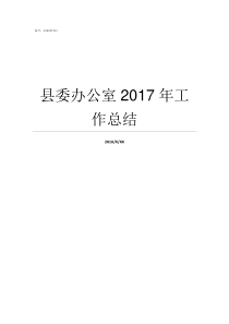 县委办公室2017年工作总结