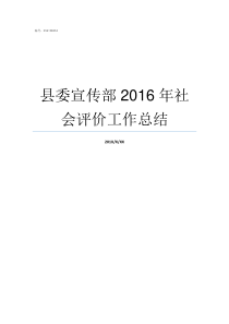 县委宣传部2016年社会评价工作总结