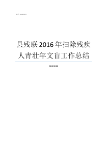 县残联2016年扫除残疾人青壮年文盲工作总结扫除青壮年文盲