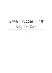 县蚕桑中心2019上半年党建工作总结半年党建工作总结2019蚕桑行业