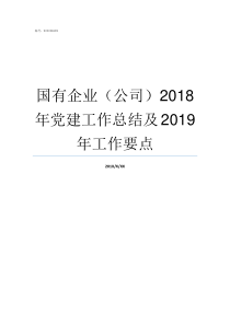 国有企业公司2018年党建工作总结及2019年工作要点