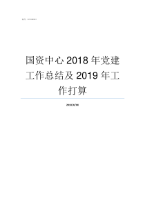 国资中心2018年党建工作总结及2019年工作打算国资厅发2019