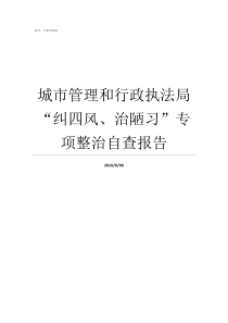 城市管理和行政执法局纠四风治陋习专项整治自查报告城管执法流程图