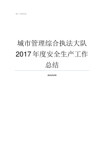 城市管理综合执法大队2017年度安全生产工作总结女生去城市管理综合执法大队