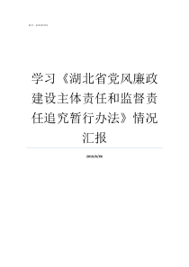 学习湖北省党风廉政建设主体责任和监督责任追究暂行办法情况汇报