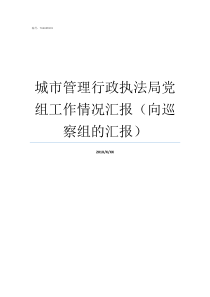 城市管理行政执法局党组工作情况汇报向巡察组的汇报城市管理行政执法局网