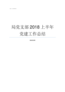 局党支部2018上半年党建工作总结2019党支部会议记录