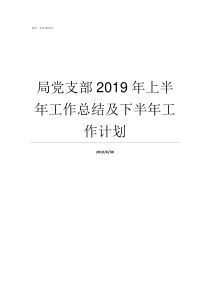 局党支部2019年上半年工作总结及下半年工作计划2019年党支部半年总结