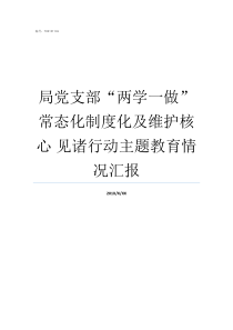 局党支部两学一做常态化制度化及维护核心nbsp见诸行动主题教育情况汇报