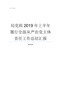 局党组2019年上半年履行全面从严治党主体责任工作总结汇报2019年7月半