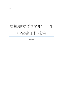 局机关党委2019年上半年党建工作报告