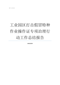 工业园区打击假冒特种作业操作证专项治理行动工作总结报告特种打击