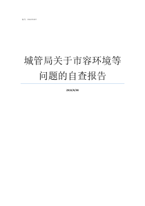 城管局关于市容环境等问题的自查报告