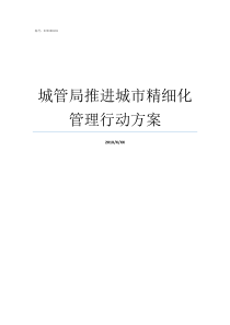 城管局推进城市精细化管理行动方案如何推进城市精细化管理