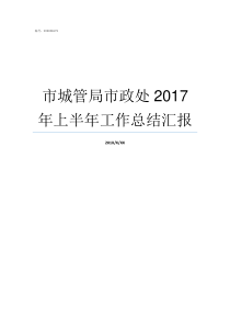 市城管局市政处2017年上半年工作总结汇报城管局