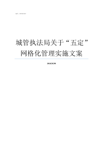 城管执法局关于五定网格化管理实施文案城管执法局电话