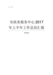 市政务服务中心2017年上半年工作总结汇报