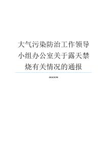 大气污染防治工作领导小组办公室关于露天禁烧有关情况的通报大气污染防治治理办公室大气污染防治治理办公室