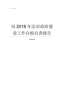 局2018年法治政府建设工作自检自查报告法治政府评估2018排名