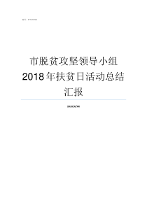 市脱贫攻坚领导小组2018年扶贫日活动总结汇报