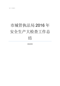 市城管执法局2016年安全生产大检查工作总结