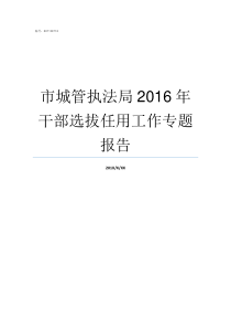 市城管执法局2016年干部选拔任用工作专题报告市城管执法局局长