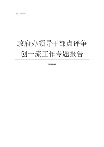 政府办领导干部点评争创一流工作专题报告地方党政领导干部