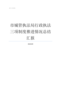 市城管执法局行政执法三项制度推进情况总结汇报市城管执法局局长