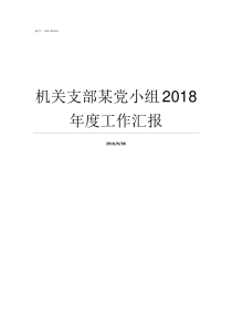 机关支部某党小组2018年度工作汇报