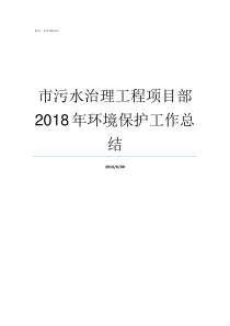 市污水治理工程项目部2018年环境保护工作总结污水治理工程好干吗