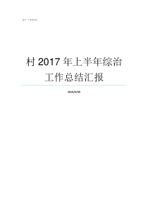 村2017年上半年综治工作总结汇报2018上海综评