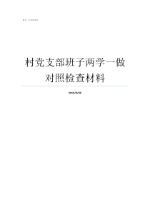 村党支部班子两学一做对照检查材料