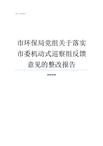 市环保局党组关于落实市委机动式巡察组反馈意见的整改报告