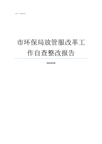 市环保局放管服改革工作自查整改报告环保局改革后叫什么