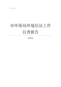 市环保局环境信访工作自查报告如何做好环境信访工作