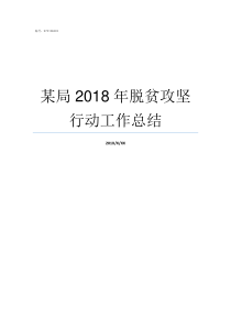 某局2018年脱贫攻坚行动工作总结2018年脱贫攻坚