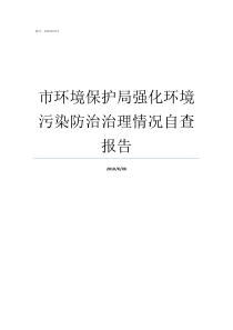 市环境保护局强化环境污染防治治理情况自查报告环境局