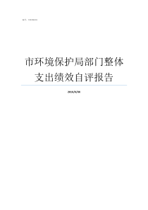 市环境保护局部门整体支出绩效自评报告