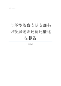 市环境监察支队支部书记换届述职述德述廉述法报告环境监察支队是干嘛的