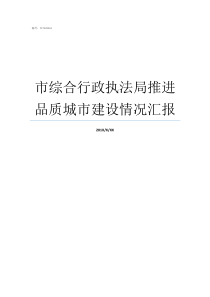 市综合行政执法局推进品质城市建设情况汇报城市建设管理执法局