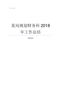 某局规划财务科2018年工作总结规划财务科总结