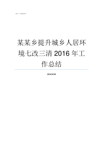 某某乡提升城乡人居环境七改三清2016年工作总结城乡风貌提升